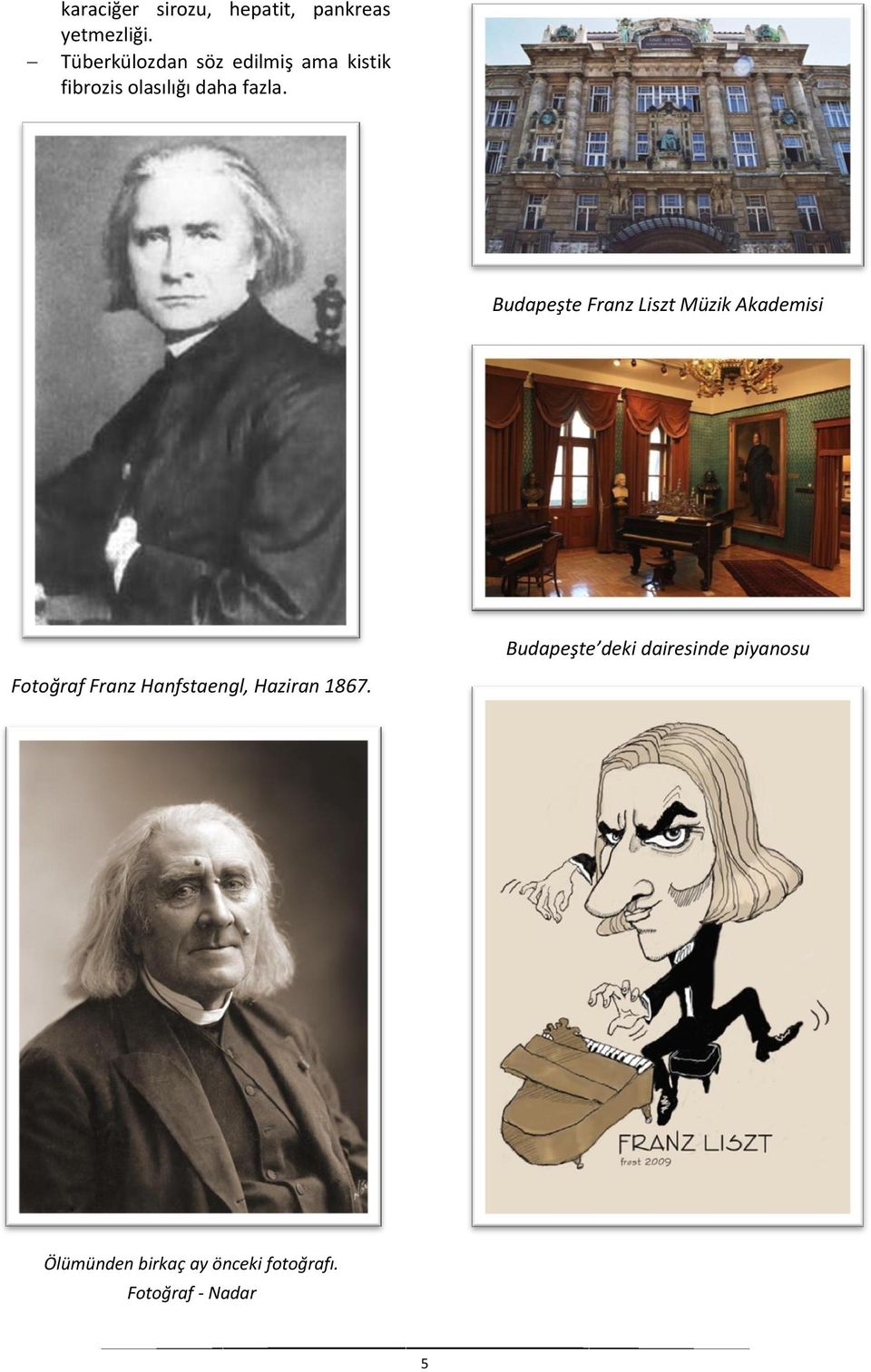 Budapeşte Franz Liszt Müzik Akademisi Fotoğraf Franz Hanfstaengl,