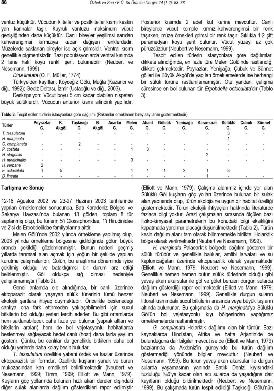 Ventral kısım genellikle pigmentsizdir. Bazı popülasyonlarda ventral kısımda 2 tane hafif koyu renkli şerit buluınabilir (Neubert ve Nesemann, 1999). Dina lineata (O. F.