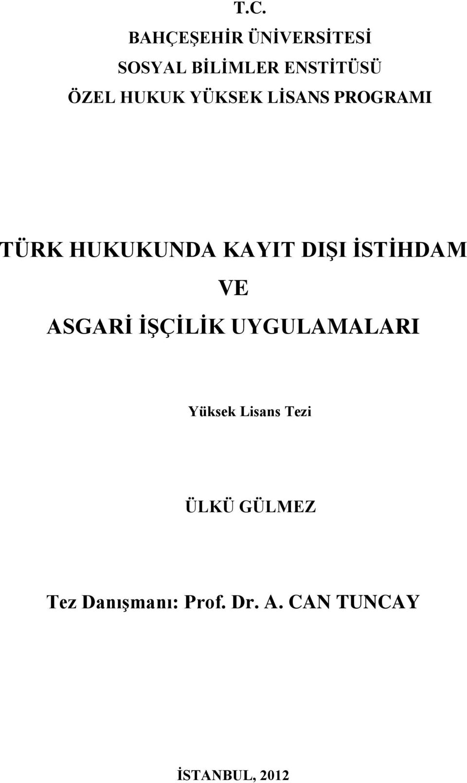 ĠSTĠHDAM VE ASGARĠ ĠġÇĠLĠK UYGULAMALARI Yüksek Lisans Tezi