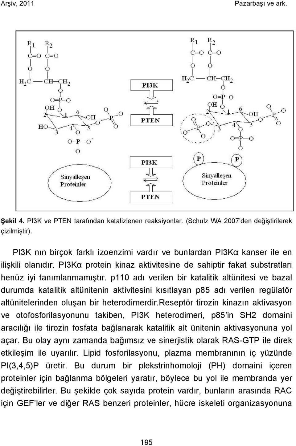 p110 adı verilen bir katalitik altünitesi ve bazal durumda katalitik altünitenin aktivitesini kısıtlayan p85 adı verilen regülatör altünitelerinden oluşan bir heterodimerdir.