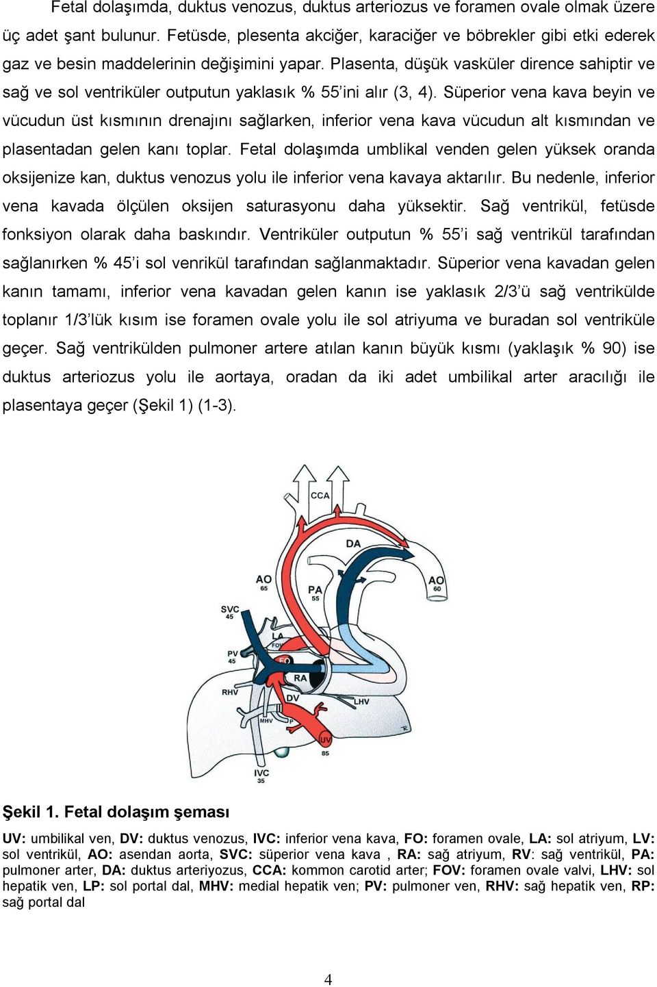 Plasenta, düşük vasküler dirence sahiptir ve sağ ve sol ventriküler outputun yaklasık % 55 ini alır (3, 4).