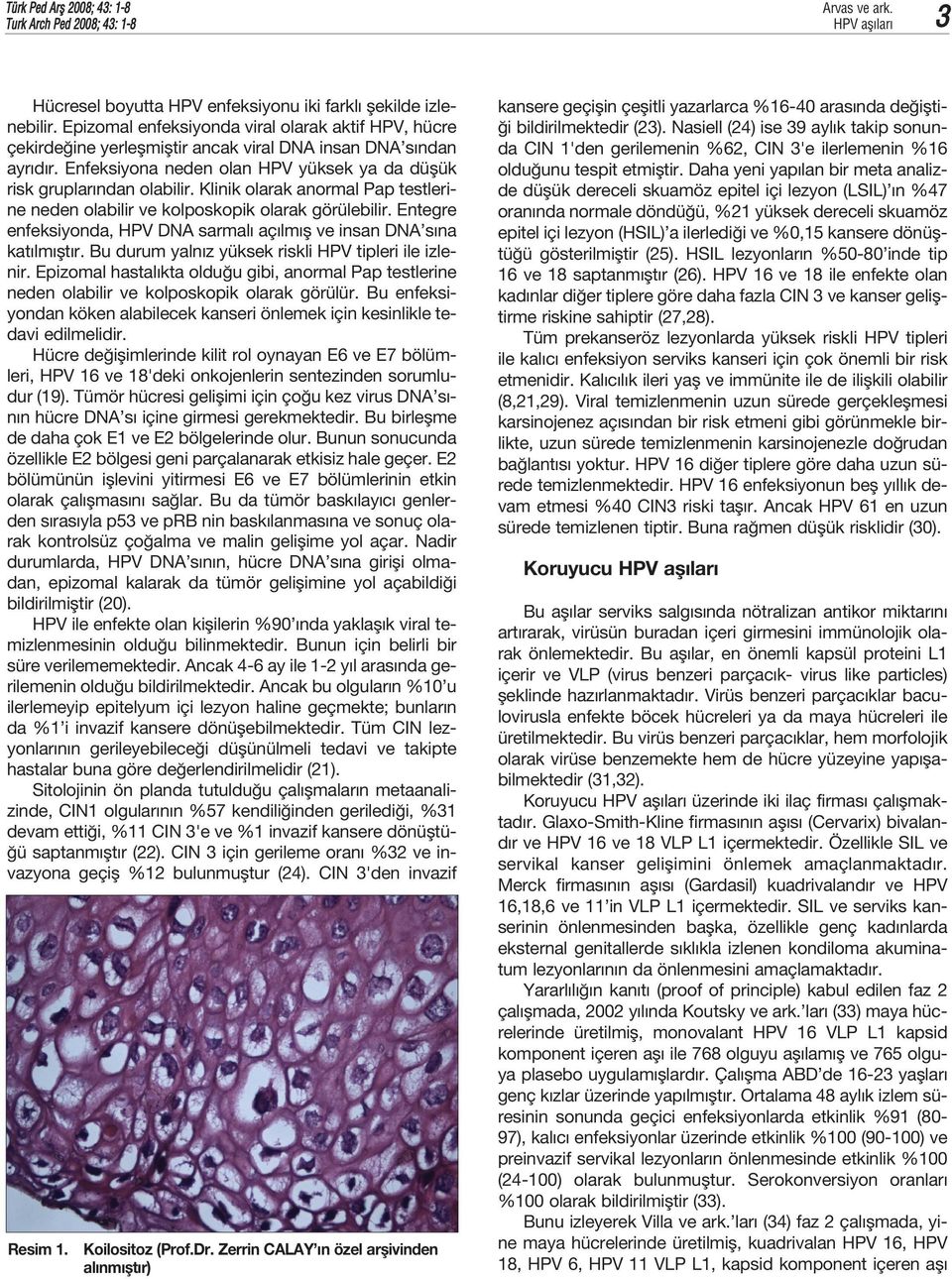 Klinik olarak anormal Pap testlerine neden olabilir ve kolposkopik olarak görülebilir. Entegre enfeksiyonda, HPV DNA sarmal aç lm fl ve insan DNA s na kat lm flt r.