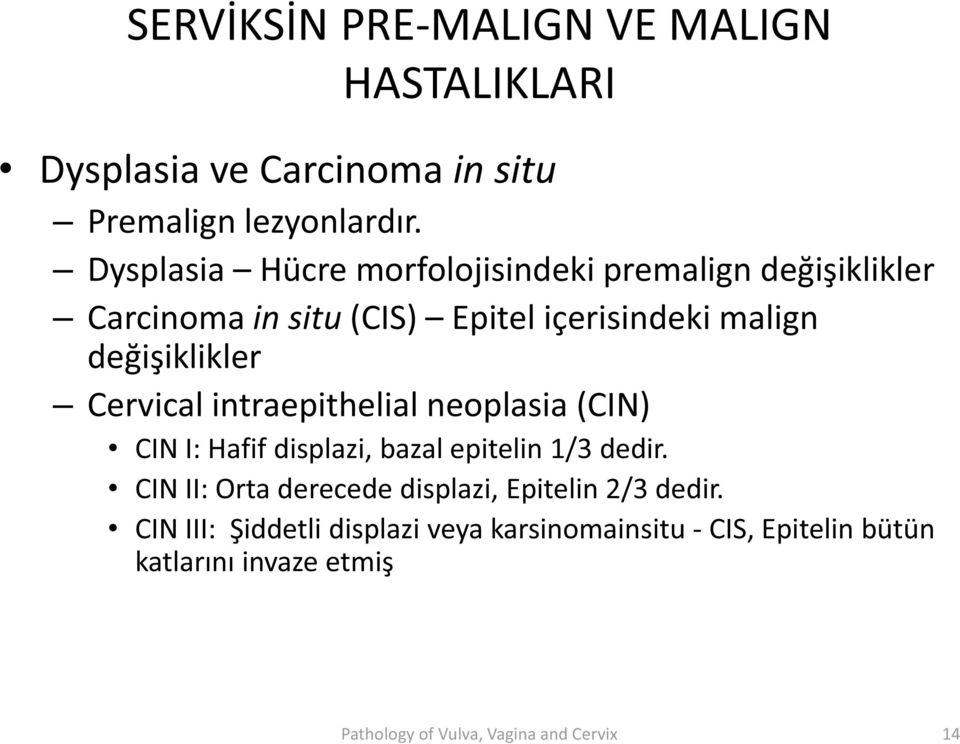 Cervical intraepithelial neoplasia (CIN) CIN I: Hafif displazi, bazal epitelin 1/3 dedir.