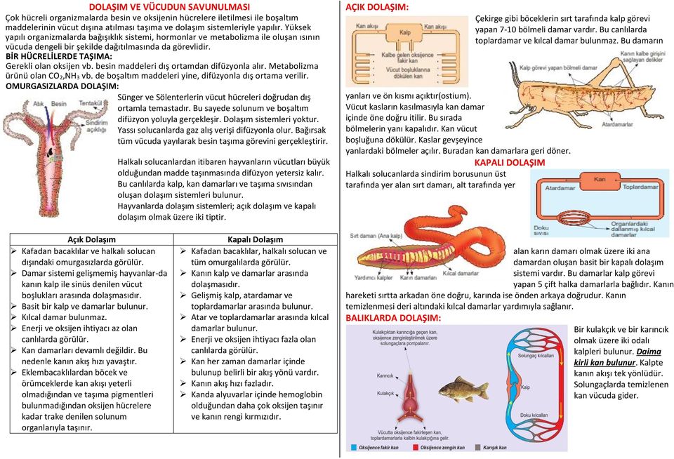 besin maddeleri dış ortamdan difüzyonla alır. Metabolizma ürünü olan CO 2,NH 3 vb. de boşaltım maddeleri yine, difüzyonla dış ortama verilir.