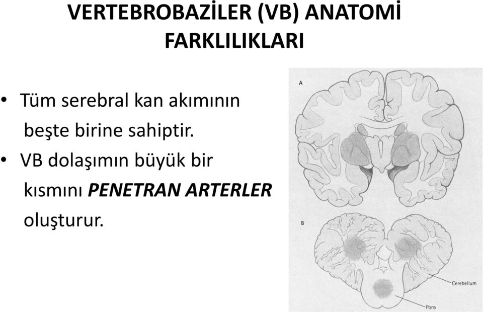 akımının beşte birine sahiptir.