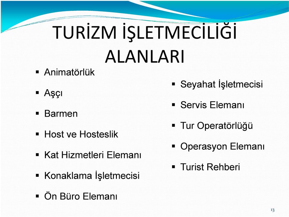 Ön Büro Elemanı ALANLARI Seyahat İşletmecisi Servis