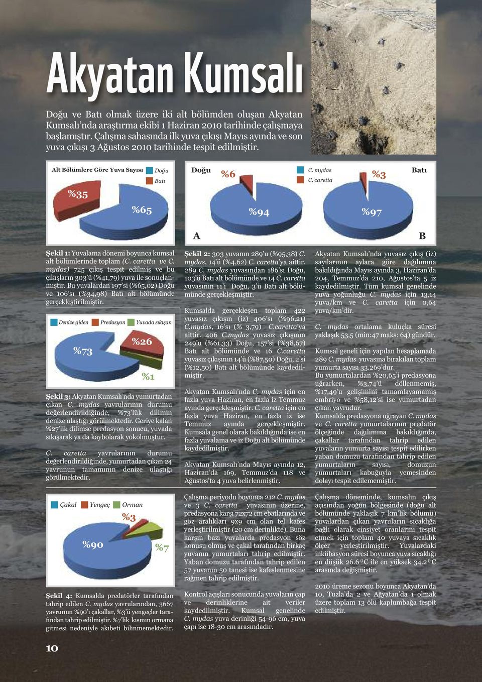 caretta %3 Batı %65 %94 %97 A B Şekil 1: Yuvalama dönemi boyunca kumsal alt bölümlerinde toplam (C. caretta ve C.