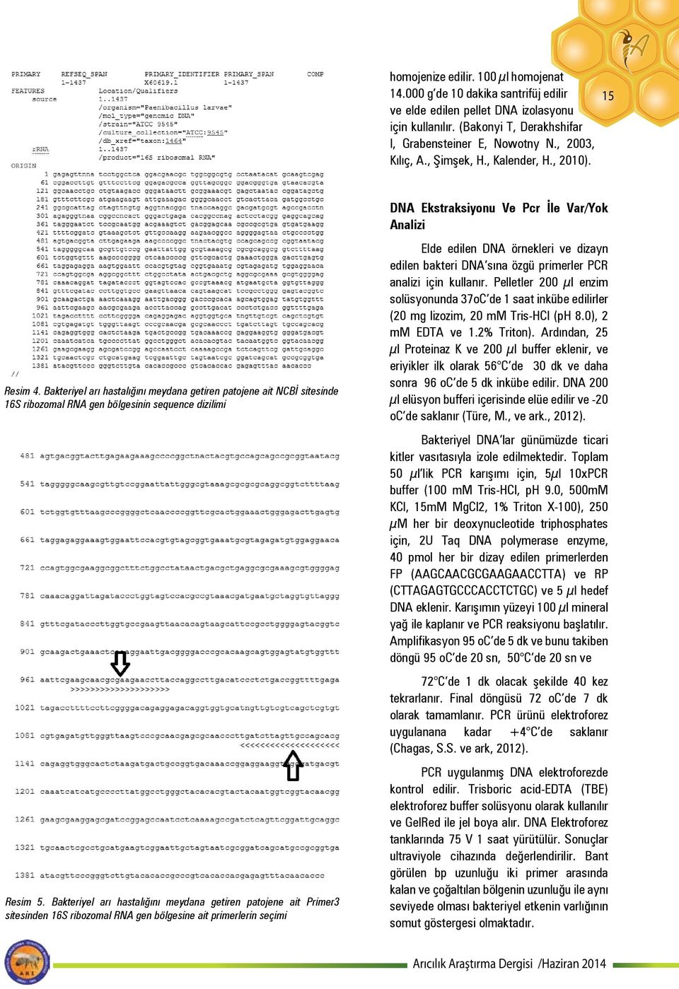 Bakteriyel arı hastalığını meydana getiren patojene ait Primer3 sitesinden 16S ribozomal RNA gen bölgesine ait primerlerin seçimi DNA Ekstraksiyonu Ve Pcr İle Var/Yok Analizi Elde edilen DNA