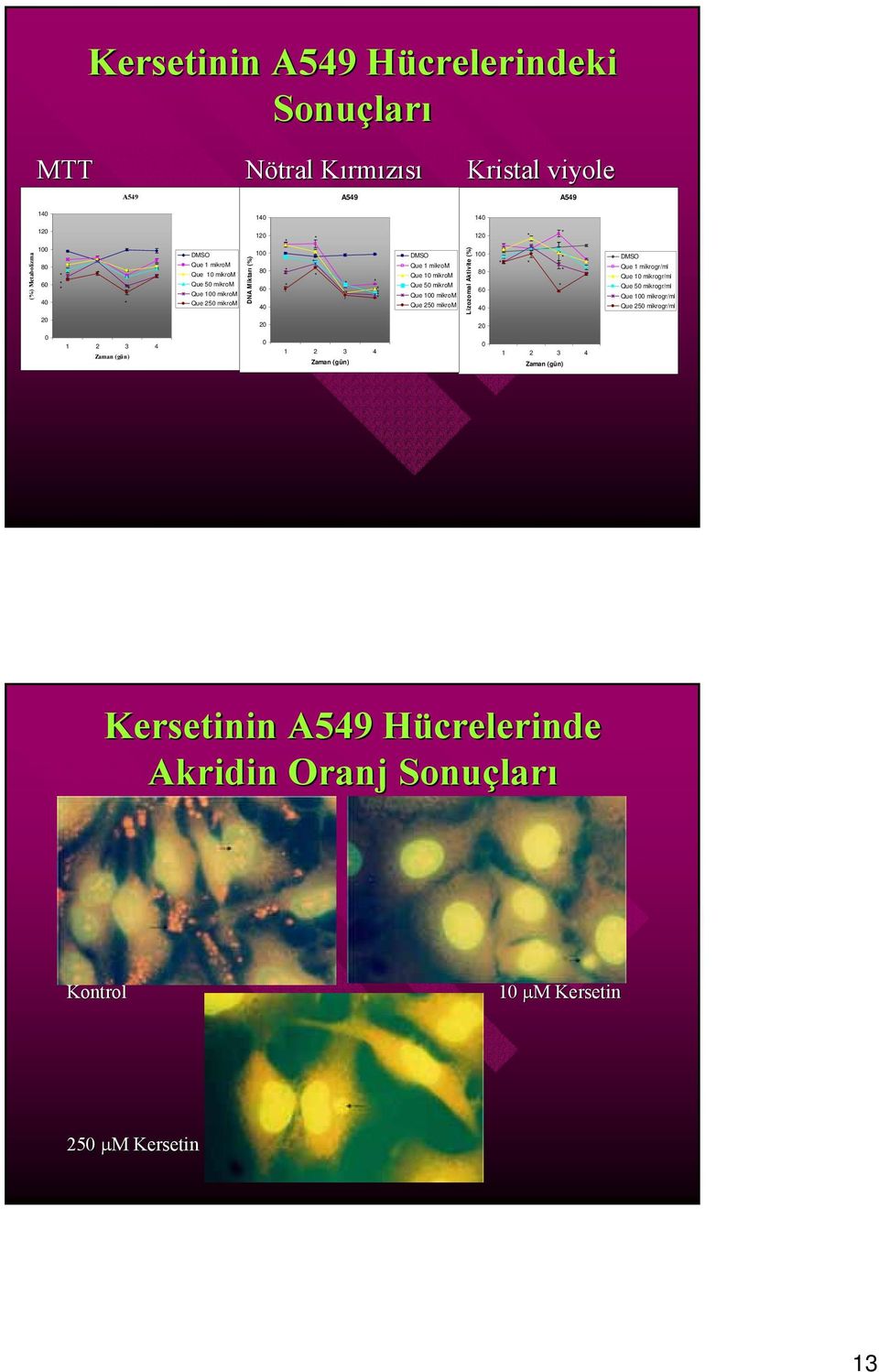 Que 1 mikrom Que 5 mikrom 6 Que 1 mikrom Que 25 mikrom 4 Lizozomal Aktivite (%) DMSO Que 1 mikrogr/ml Que 1 mikrogr/ml Que 5