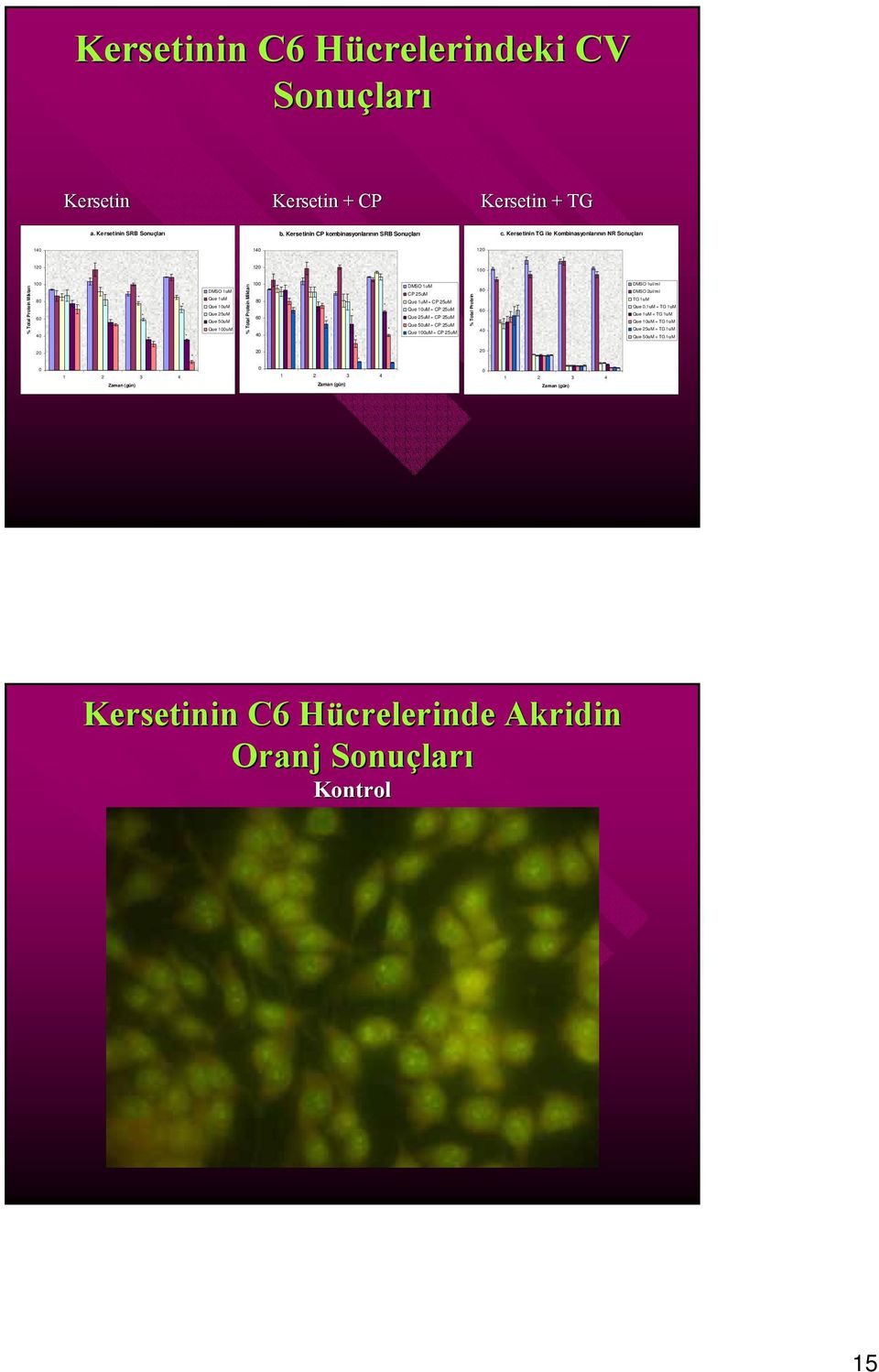 Kersetinin TG ile Kombinasyonlarının NR Sonuçları 14 14 1 1 1 1 % Total Protein Miktarı 1 8 6 4 DMSO 1uM Que 1uM Que 1uM Que 25uM Que 5uM Que 1uM % Total