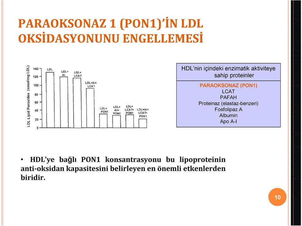 (elastaz-benzeri) Fosfolipaz A Albumin Apo A-I HDL ye bağlı PON1
