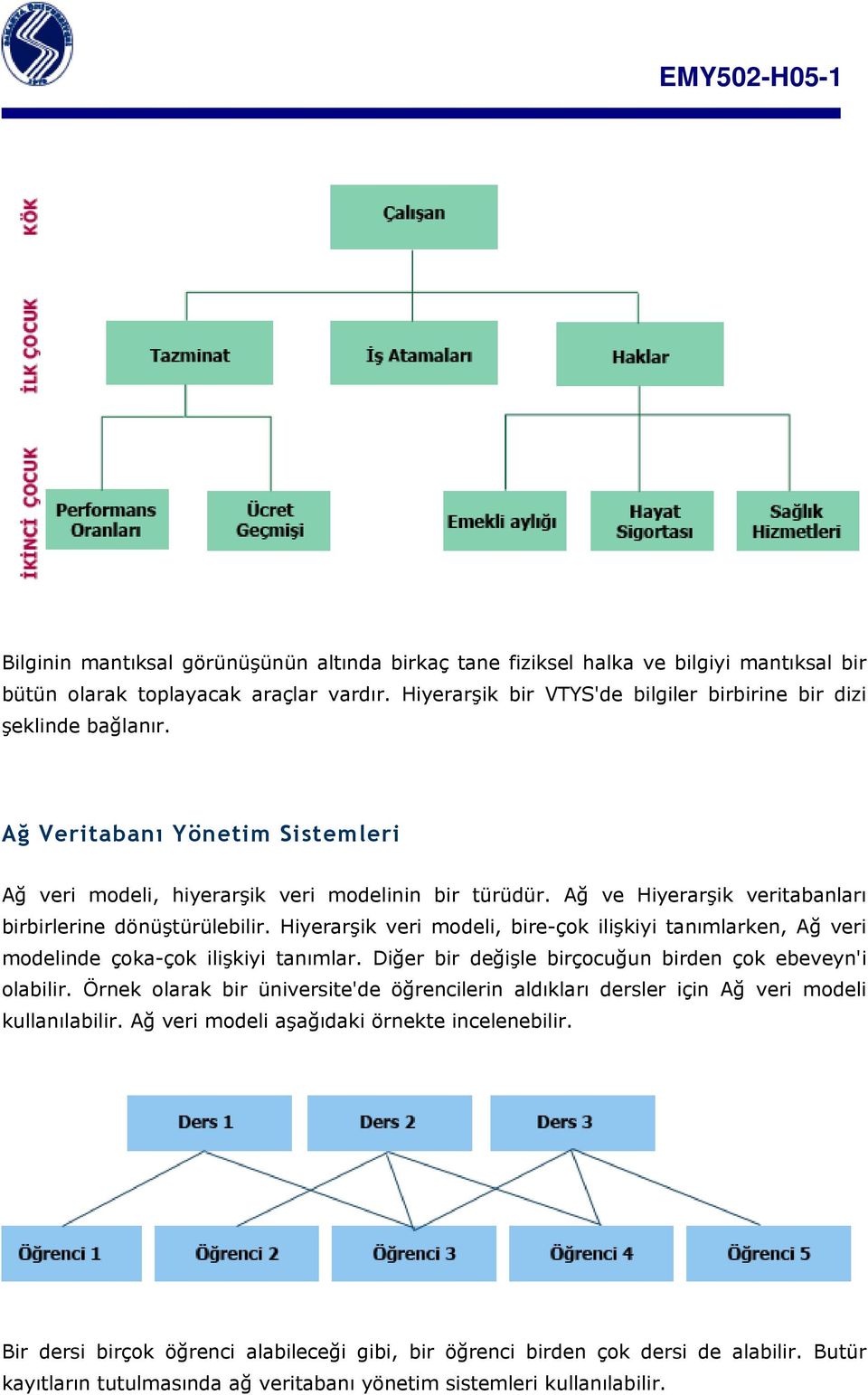 Hiyerarşik veri modeli, bire-çok ilişkiyi tanımlarken, Ağ veri modelinde çoka-çok ilişkiyi tanımlar. Diğer bir değişle birçocuğun birden çok ebeveyn'i olabilir.