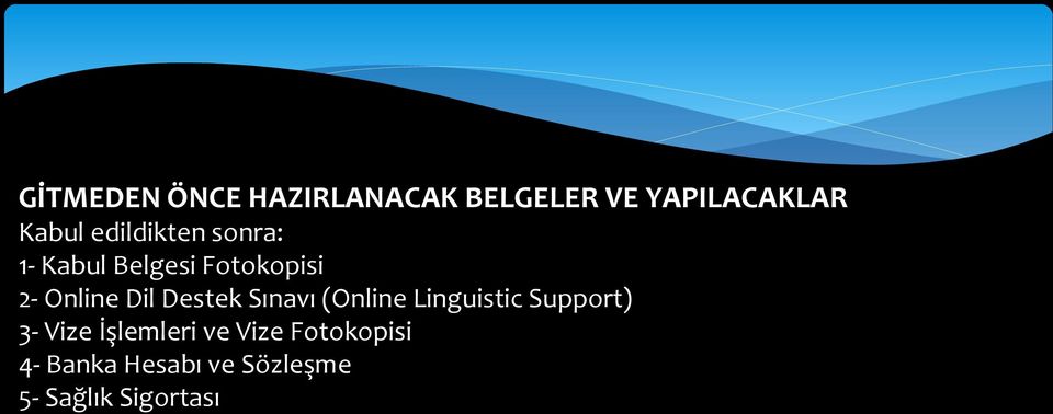 Destek Sınavı (Online Linguistic Support) 3- Vize İşlemleri
