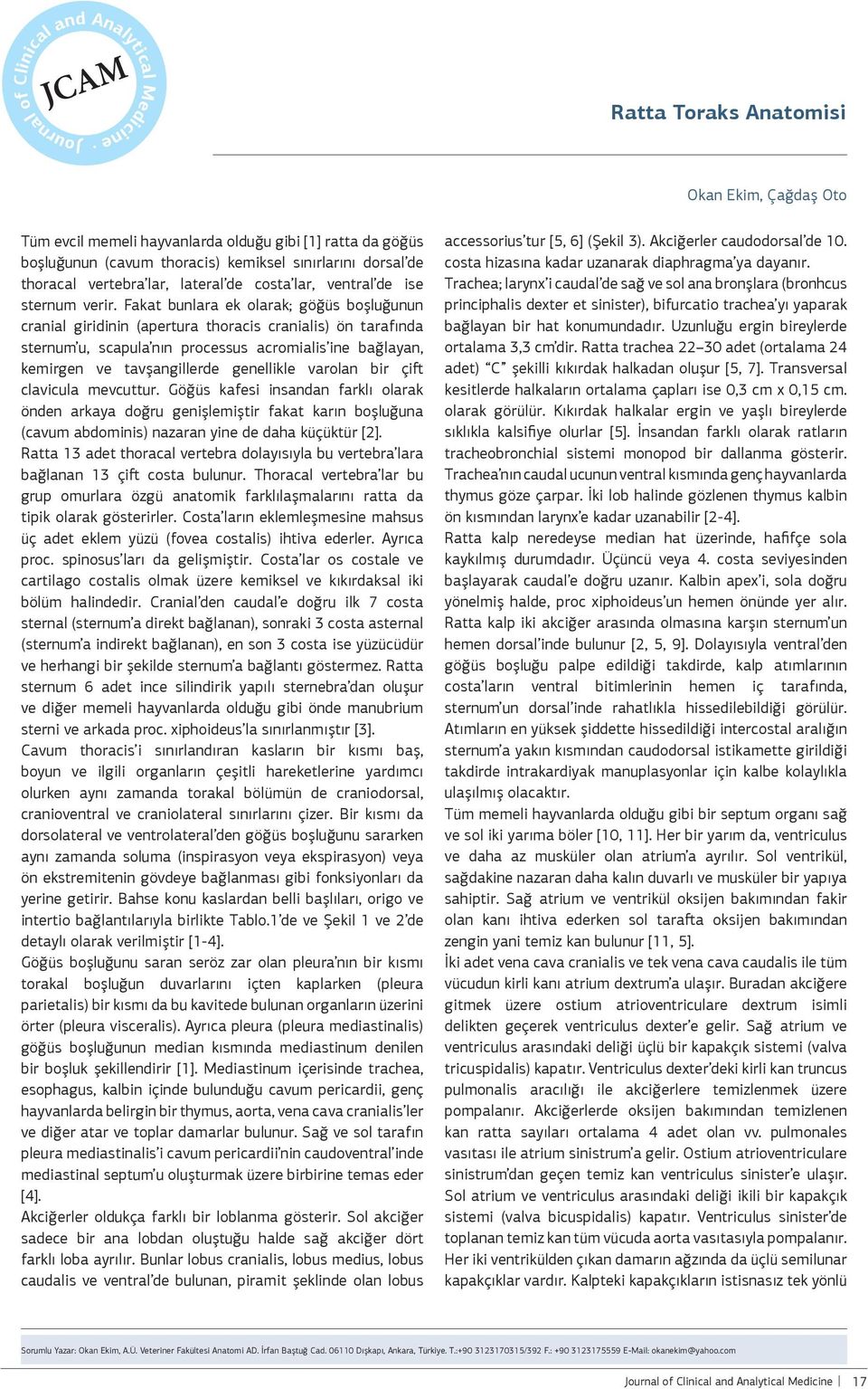 Fakat bunlara ek olarak; göğüs boşluğunun cranial giridinin (apertura thoracis cranialis) ön tarafında sternum u, scapula nın processus acromialis ine bağlayan, kemirgen ve tavşangillerde genellikle