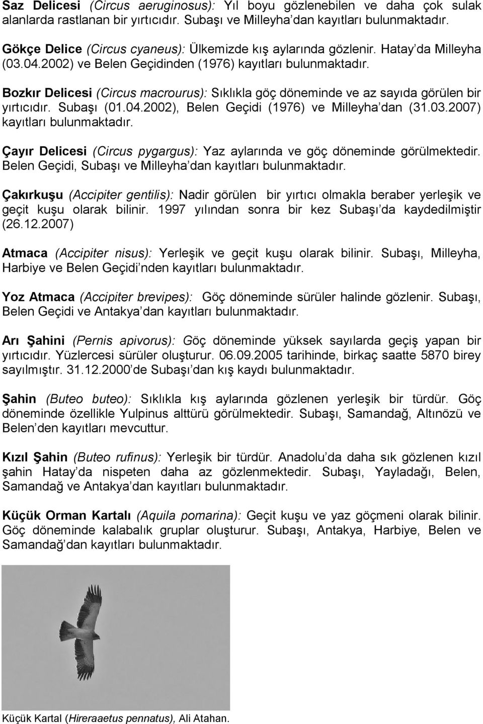 Bozkır Delicesi (Circus macrourus): Sıklıkla göç döneminde ve az sayıda görülen bir yırtıcıdır. Subaşı (01.04.2002), Belen Geçidi (1976) ve Milleyha dan (31.03.2007) kayıtları bulunmaktadır.