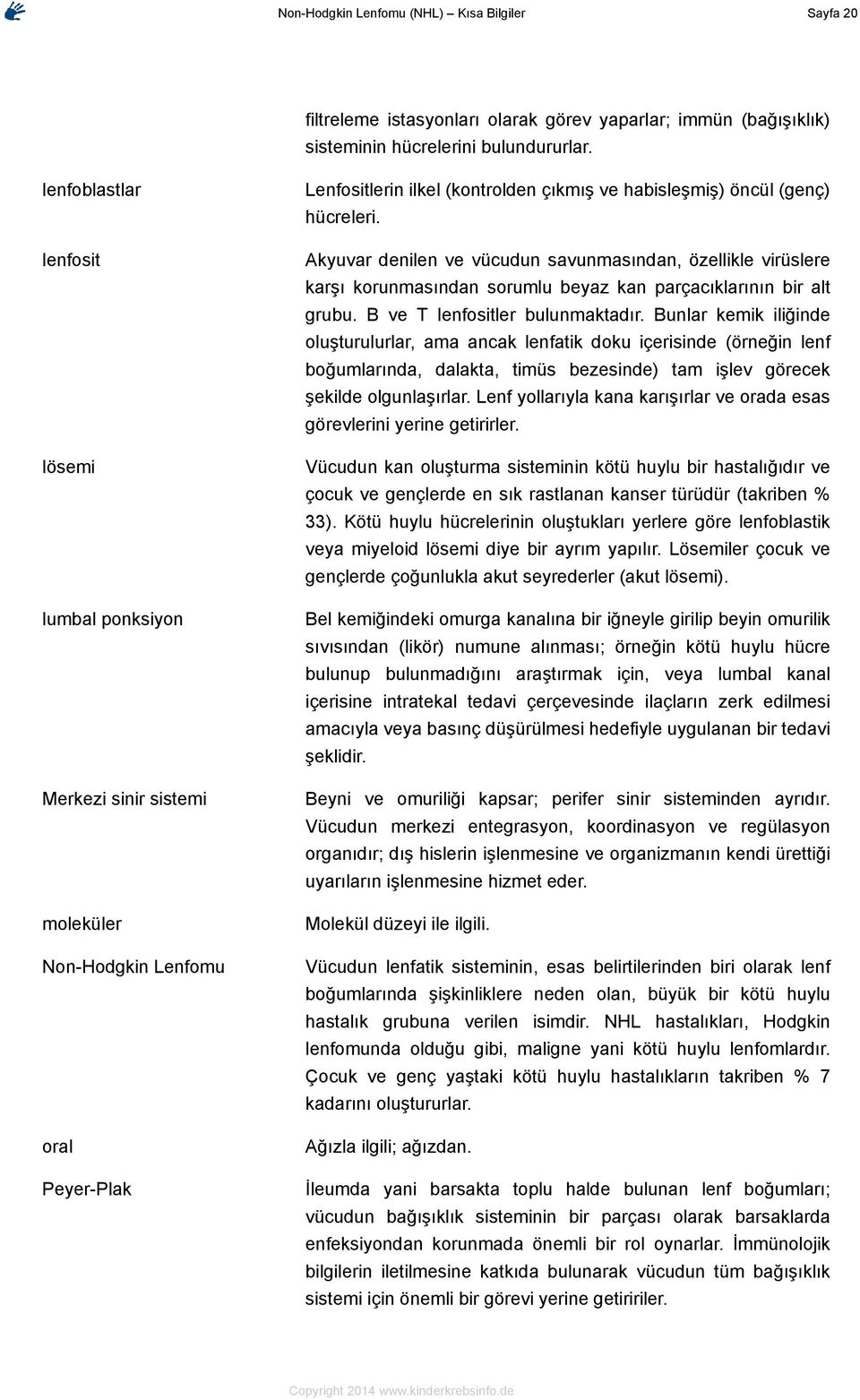 Akyuvar denilen ve vücudun savunmasından, özellikle virüslere karşı korunmasından sorumlu beyaz kan parçacıklarının bir alt grubu. B ve T lenfositler bulunmaktadır.