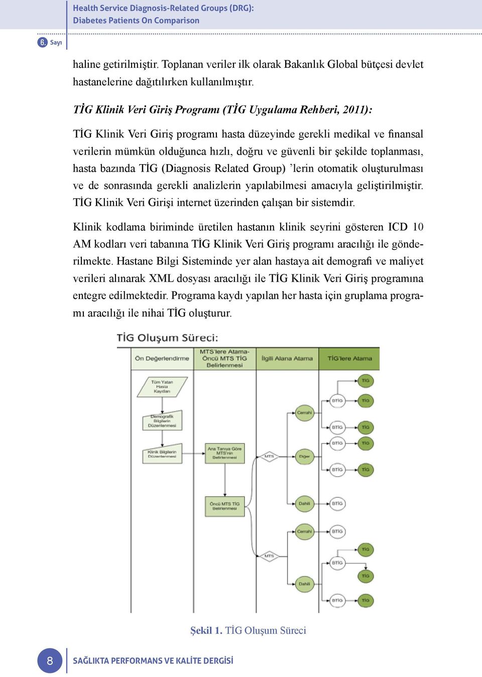 TİG Klinik Veri Giriş Programı (TİG Uygulama Rehberi, 2011): TİG Klinik Veri Giriş programı hasta düzeyinde gerekli medikal ve finansal verilerin mümkün olduğunca hızlı, doğru ve güvenli bir şekilde