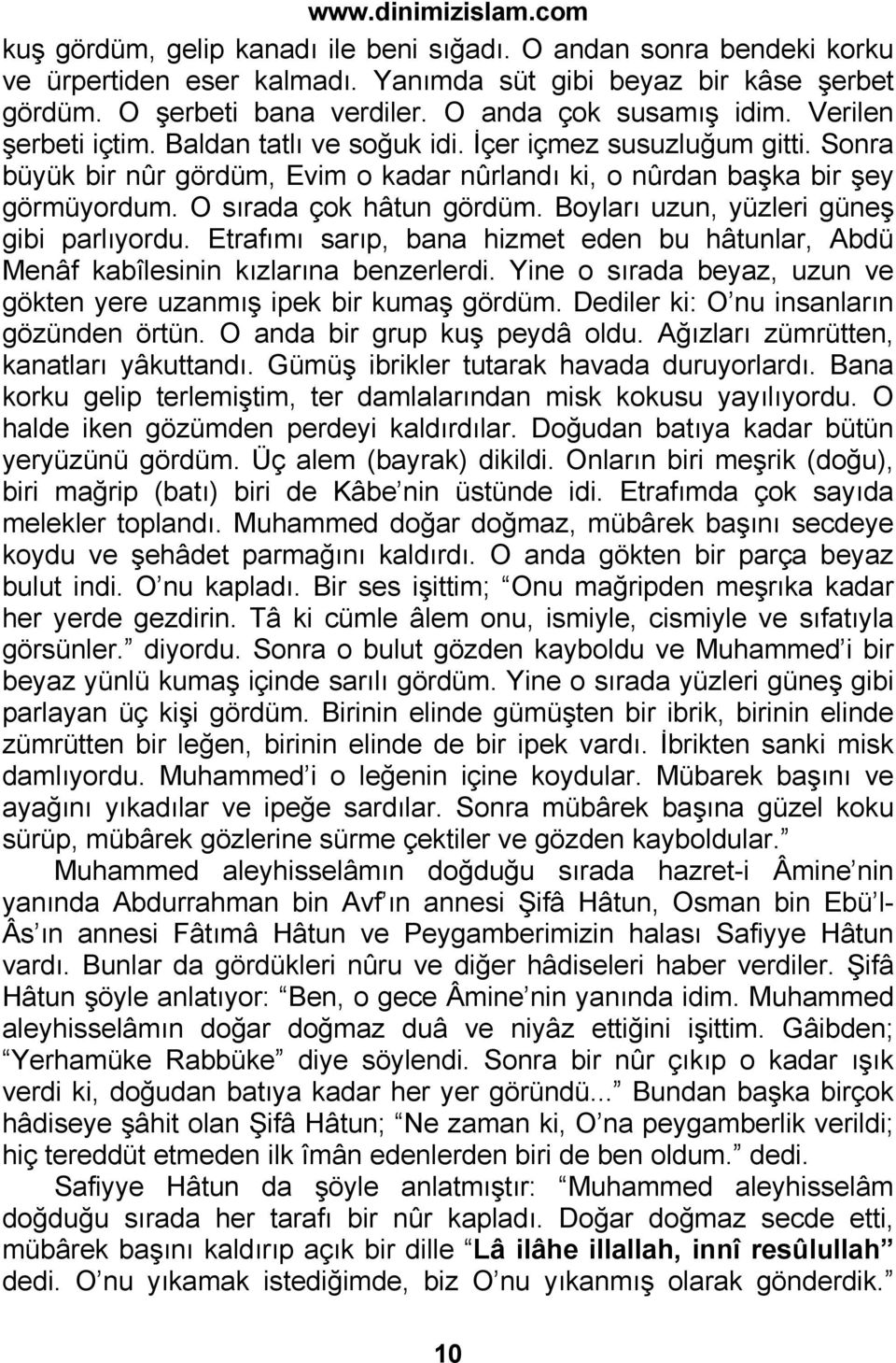 Boyları uzun, yüzleri güneş gibi parlıyordu. Etrafımı sarıp, bana hizmet eden bu hâtunlar, Abdü Menâf kabîlesinin kızlarına benzerlerdi.