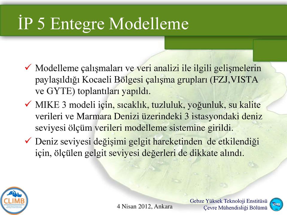 MIKE 3 modeli için, sıcaklık, tuzluluk, yoğunluk, su kalite verileri ve Marmara Denizi üzerindeki 3 istasyondaki