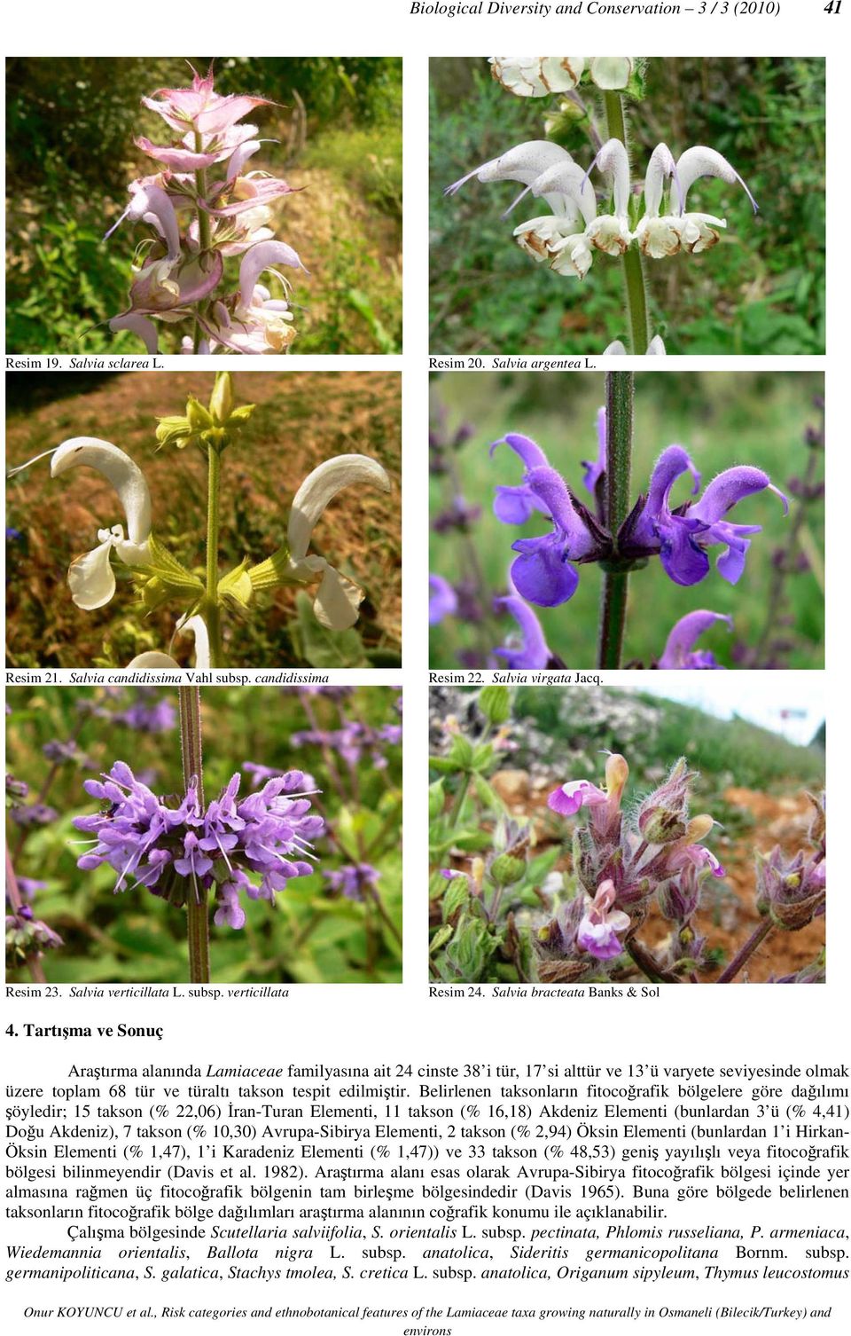 Tartışma ve Sonuç Araştırma alanında Lamiaceae familyasına ait 24 cinste 38 i tür, 17 si alttür ve 13 ü varyete seviyesinde olmak üzere toplam 68 tür ve türaltı takson tespit edilmiştir.
