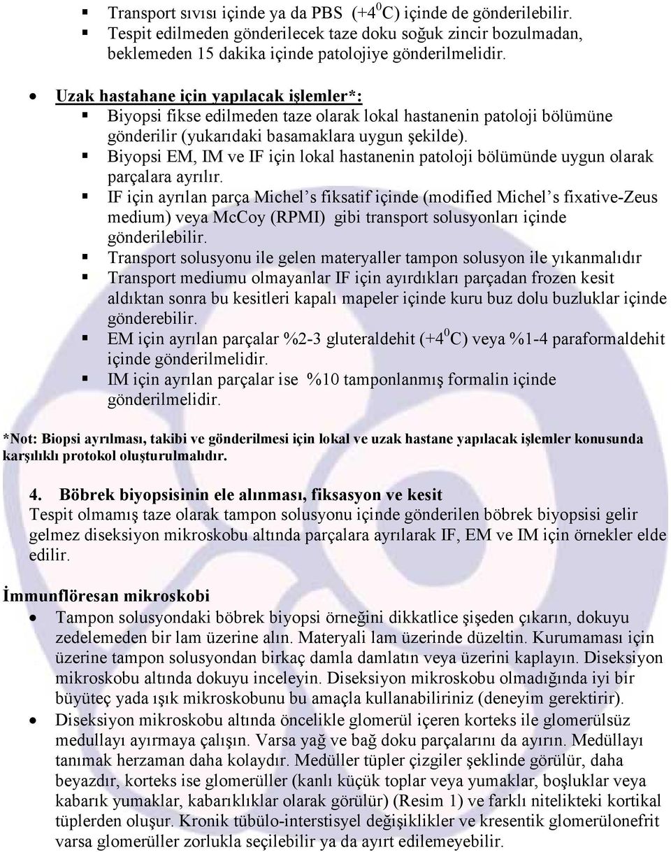 Biyopsi EM, IM ve IF için lokal hastanenin patoloji bölümünde uygun olarak parçalara ayrılır.