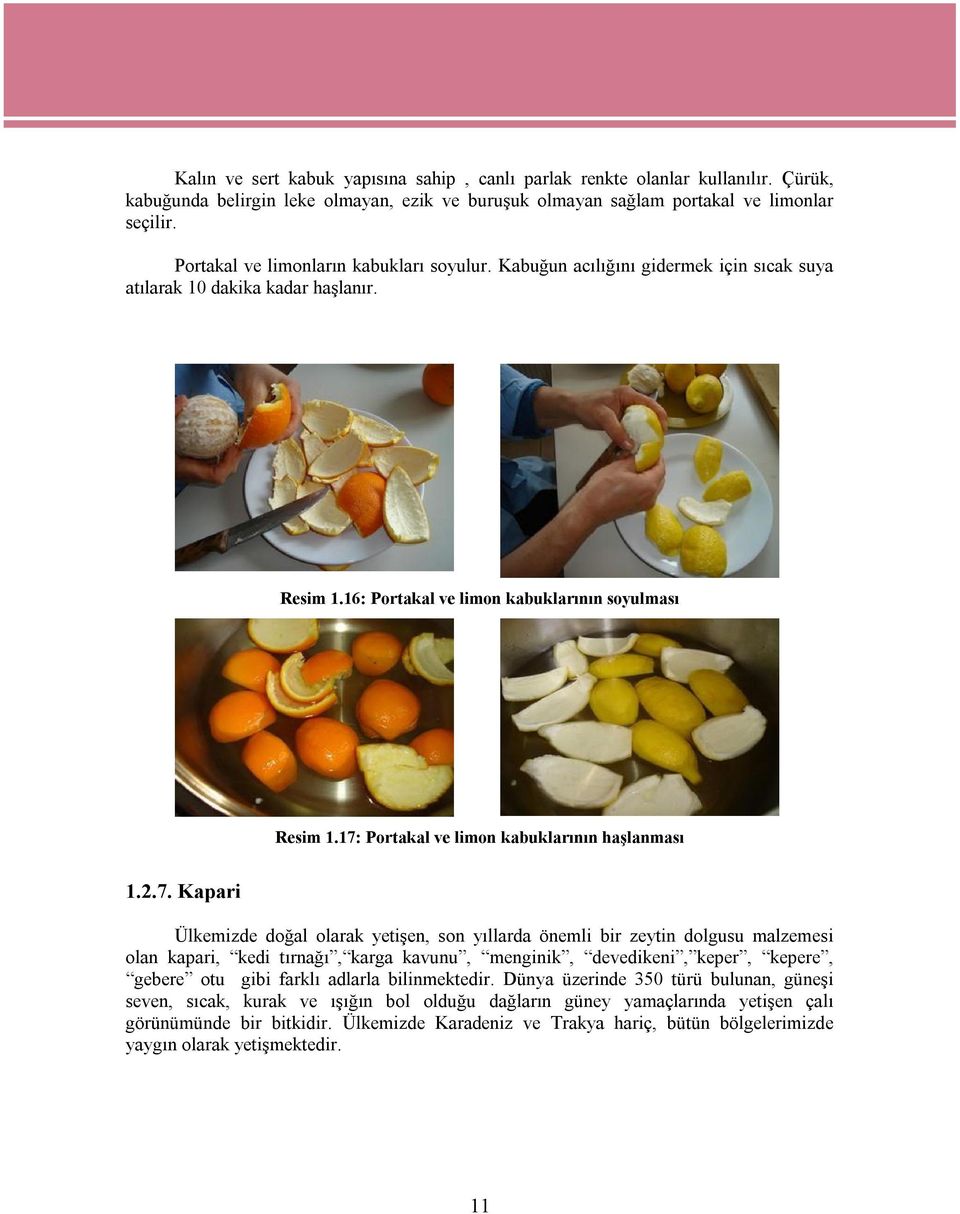 17: Portakal ve limon kabuklarının haşlanması 1.2.7. Kapari Ülkemizde doğal olarak yetişen, son yıllarda önemli bir zeytin dolgusu malzemesi olan kapari, kedi tırnağı, karga kavunu, menginik,