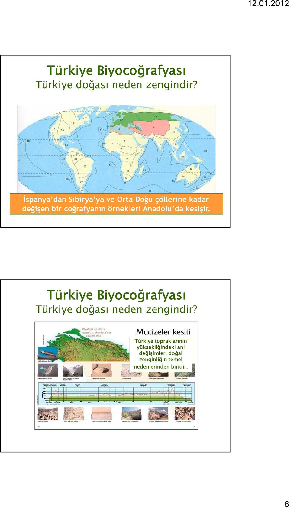 örnekleri Anadolu da kesişir.