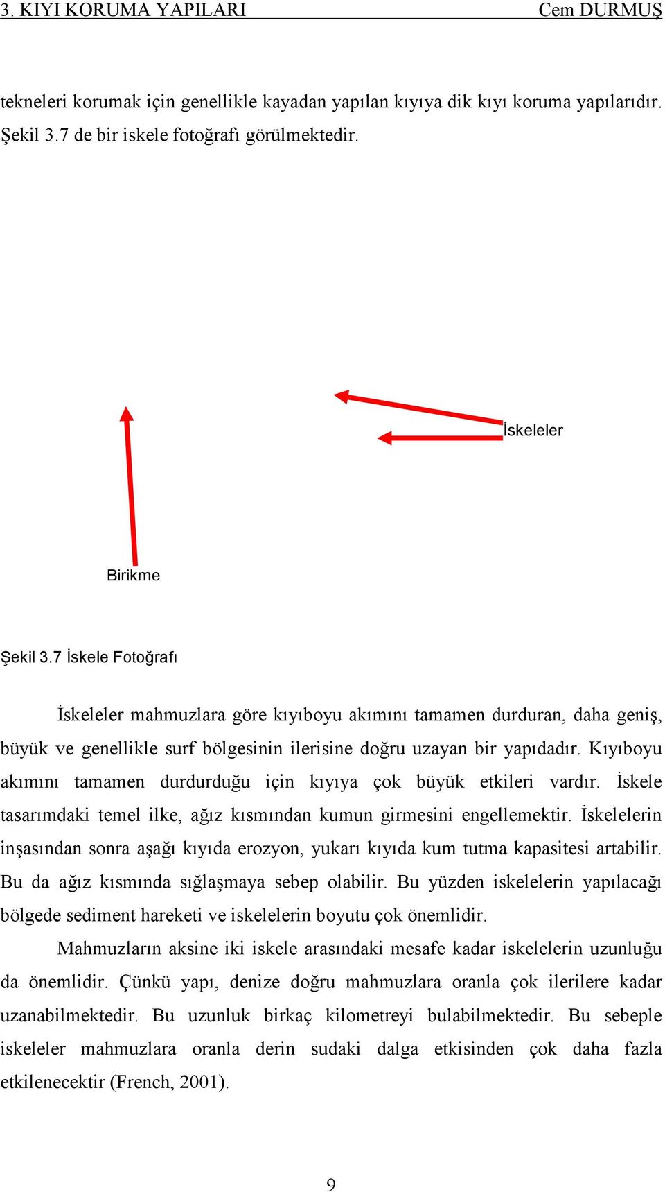 Kıyıboyu akımını tamamen durdurduğu için kıyıya çok büyük etkileri vardır. İskele tasarımdaki temel ilke, ağız kısmından kumun girmesini engellemektir.