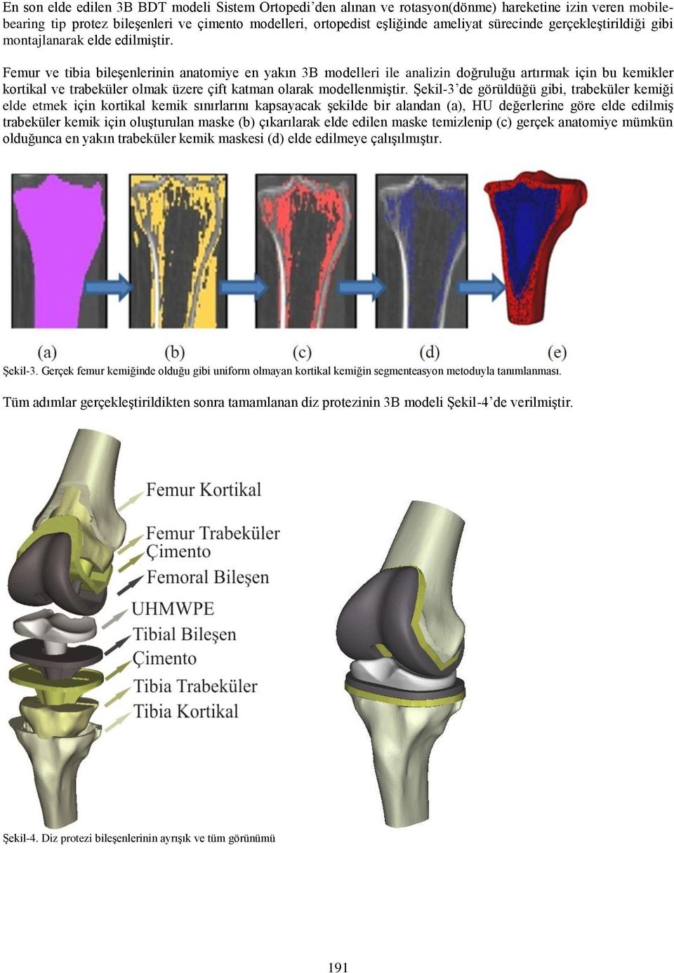 Femur ve tibia bileşenlerinin anatomiye en yakın 3B modelleri ile analizin doğruluğu artırmak için bu kemikler kortikal ve trabeküler olmak üzere çift katman olarak modellenmiştir.