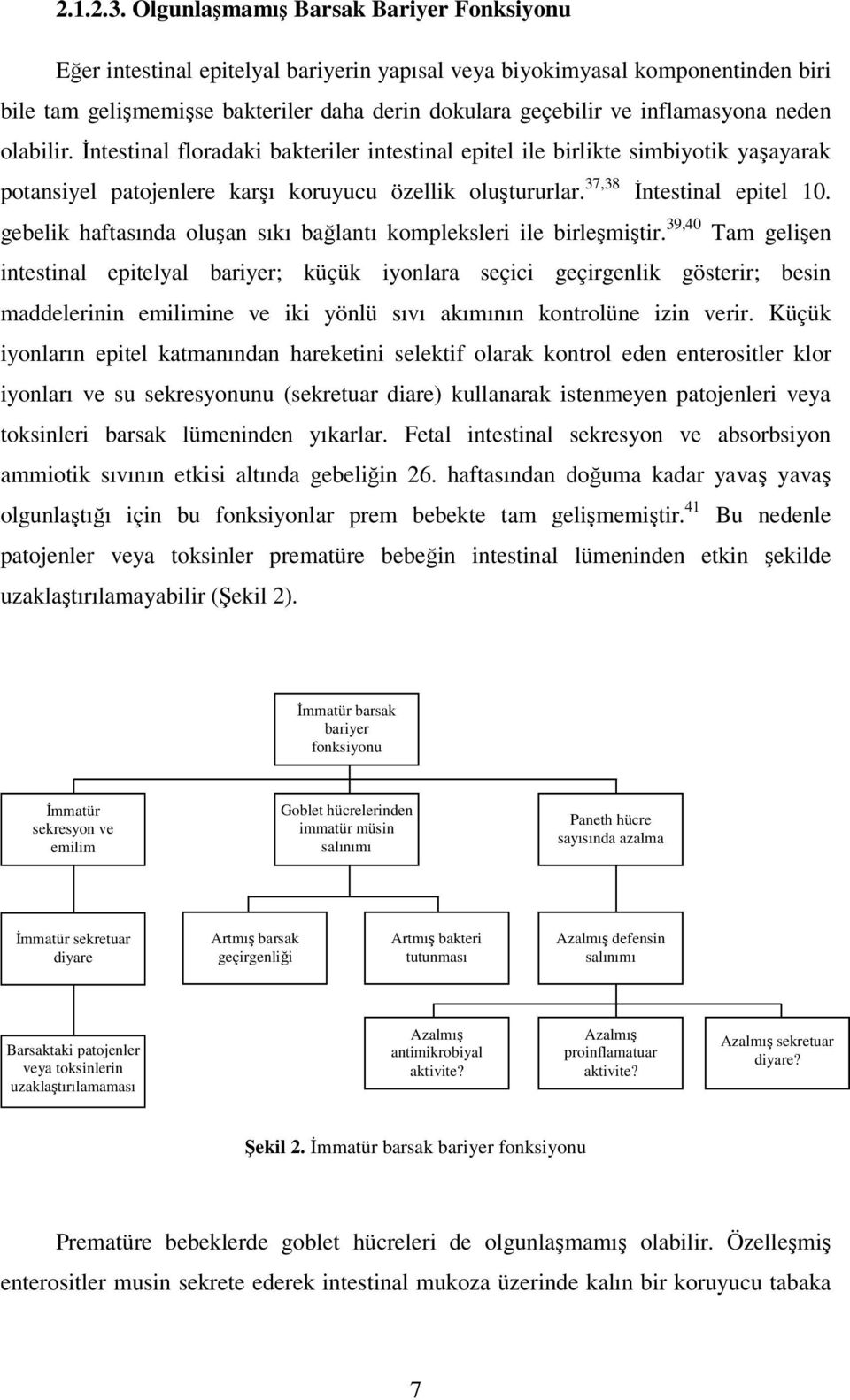 inflamasyona neden olabilir. Đntestinal floradaki bakteriler intestinal epitel ile birlikte simbiyotik yaşayarak potansiyel patojenlere karşı koruyucu özellik oluştururlar. 37,38 Đntestinal epitel 10.