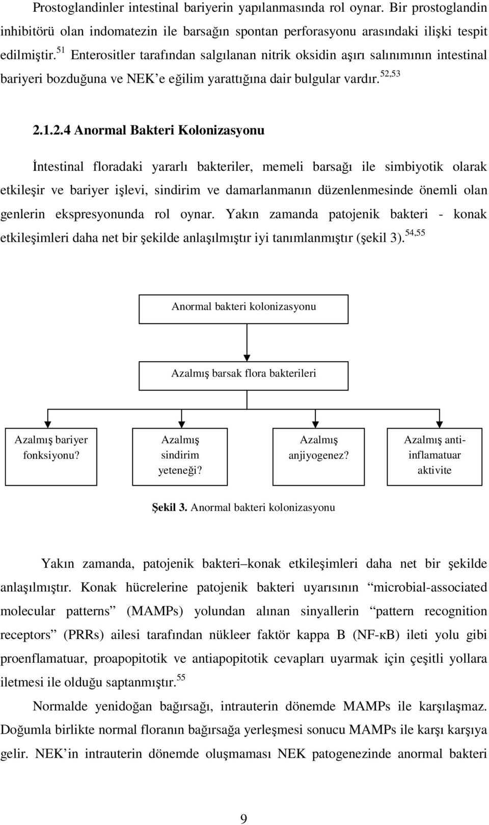 53 2.1.2.4 Anormal Bakteri Kolonizasyonu Đntestinal floradaki yararlı bakteriler, memeli barsağı ile simbiyotik olarak etkileşir ve bariyer işlevi, sindirim ve damarlanmanın düzenlenmesinde önemli