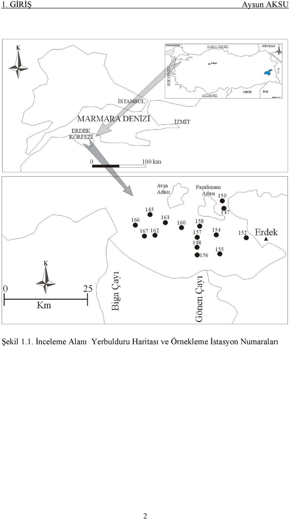 1. İnceleme Alanı