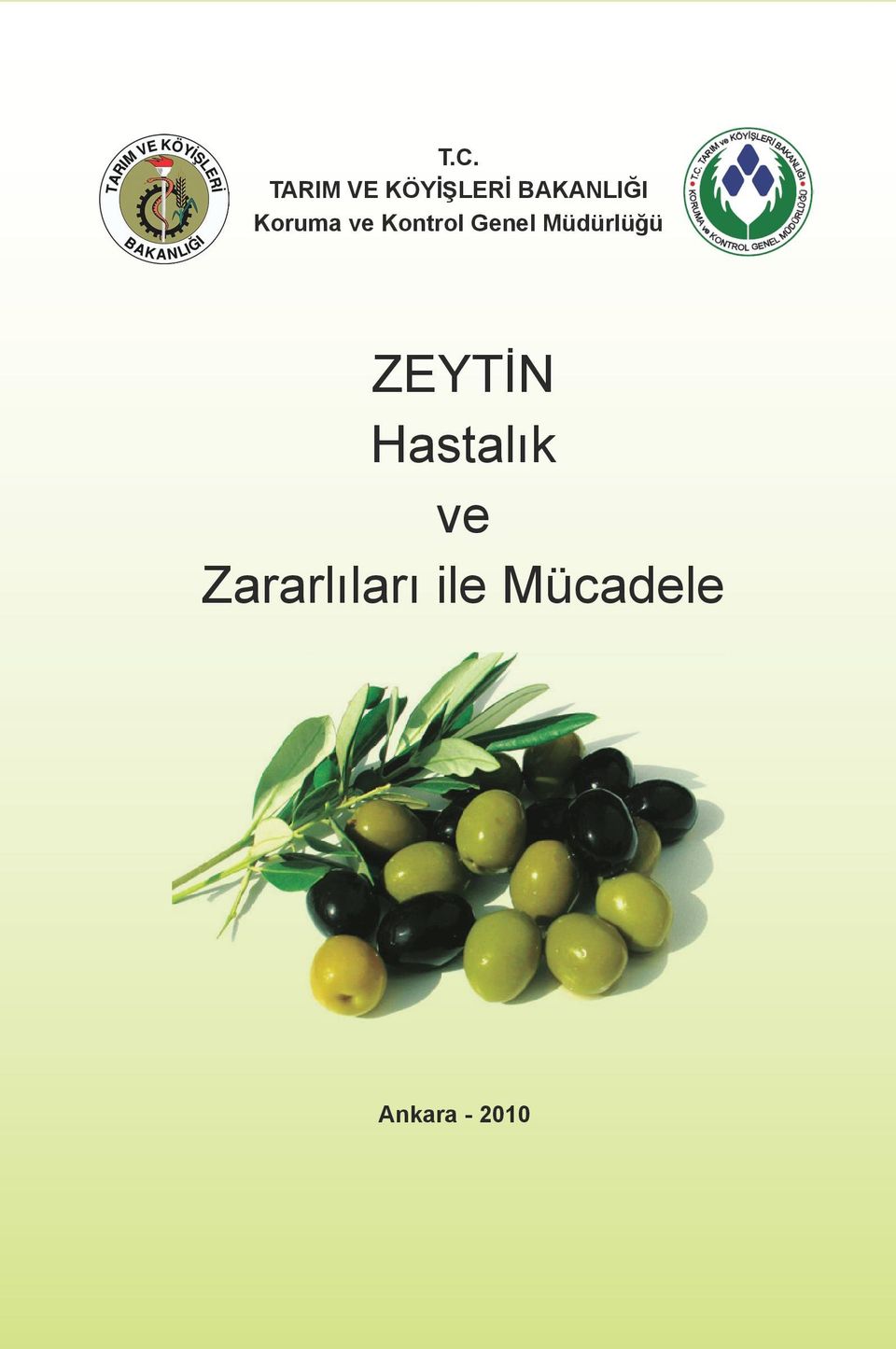 Genel Müdürlüğü ZEYTİN Hastalık