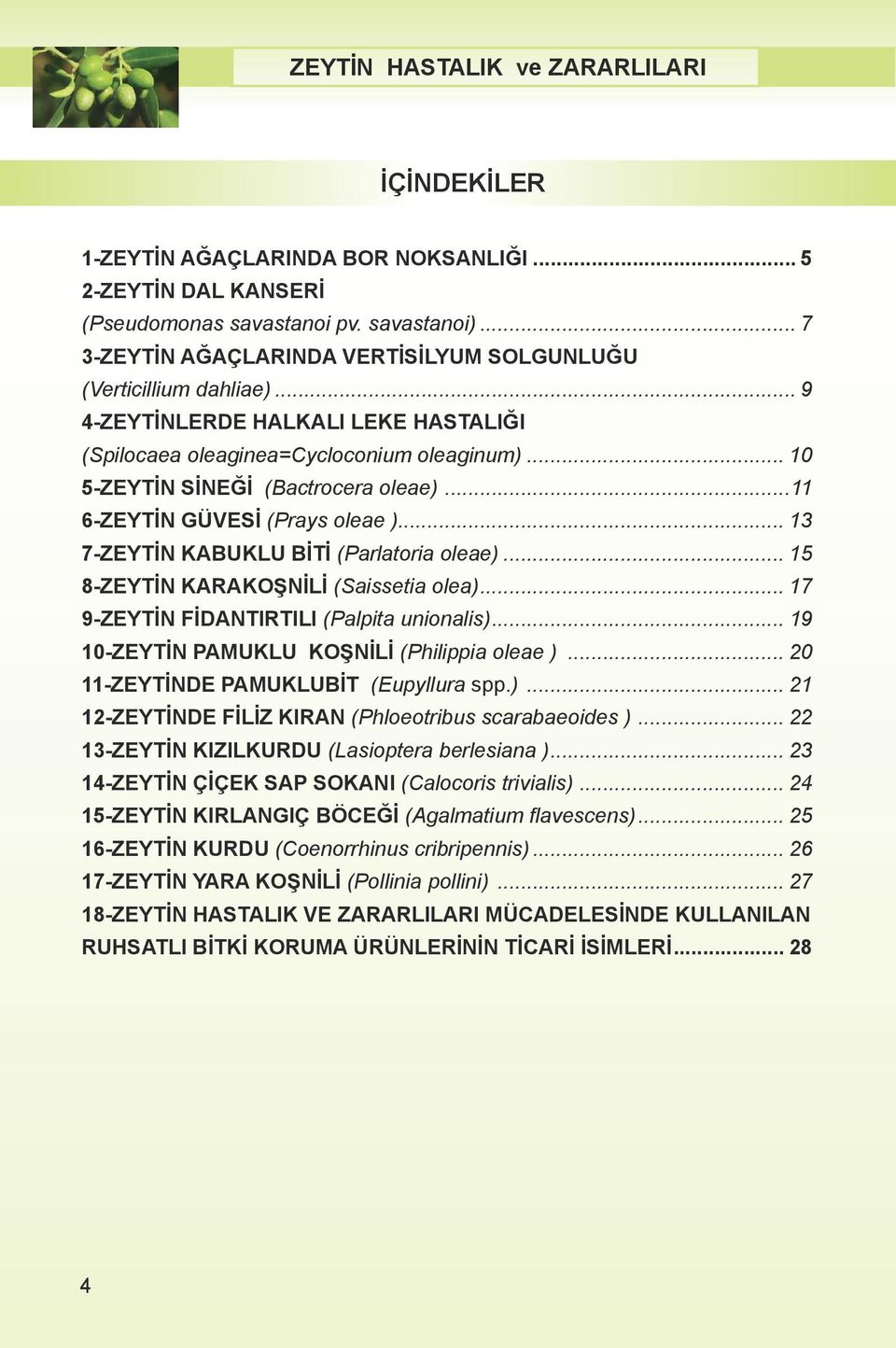 .. 13 7-ZEYTİN KABUKLU BİTİ (Parlatoria oleae)... 15 8-ZEYTİN KARAKOŞNİLİ (Saissetia olea)... 17 9-ZEYTİN FİDANTIRTILI (Palpita unionalis)... 19 10-ZEYTİN PAMUKLU KOŞNİLİ (Philippia oleae ).