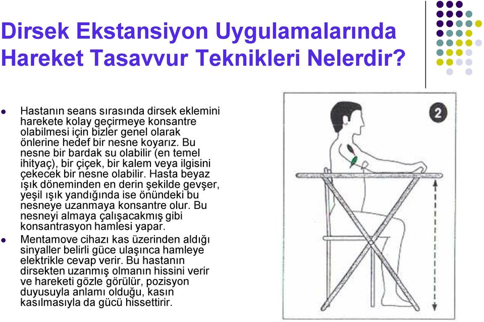 Bu nesne bir bardak su olabilir (en temel ihityaç), bir çiçek, bir kalem veya ilgisini çekecek bir nesne olabilir.