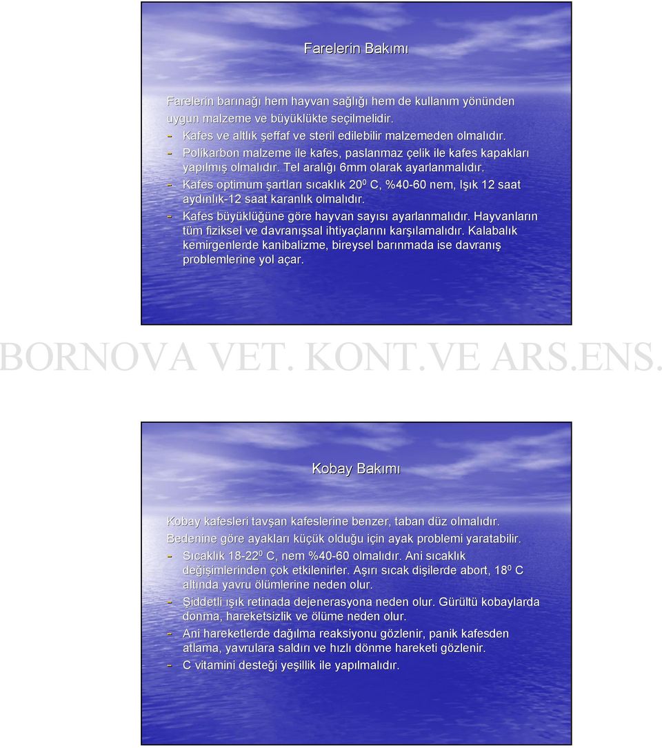 - Kafes optimum şartları sıcaklık k 20 0 C, %40-60 nem, IşıI şık k 12 saat aydınl nlık-12 saat karanlık k olmalıdır. - Kafes büyüklb klüğüne göre g hayvan sayısı ayarlanmalıdır. r.