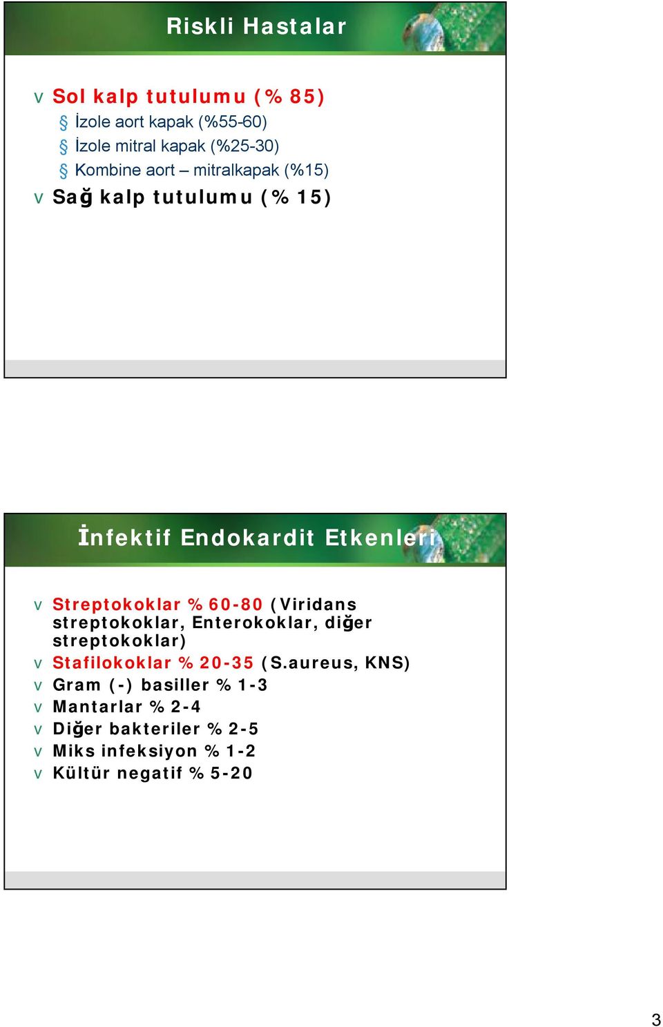 (Viridans streptokoklar, Enterokoklar, diğer streptokoklar) v Stafilokoklar %20-35 (S.