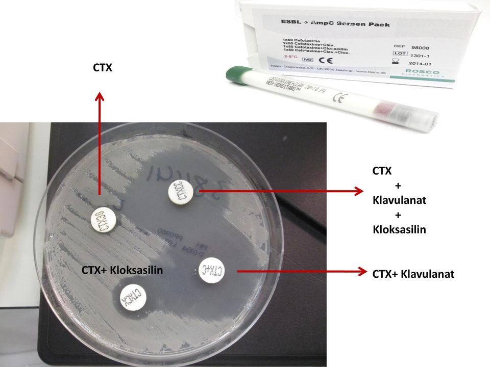 Kloksasilin CTX+