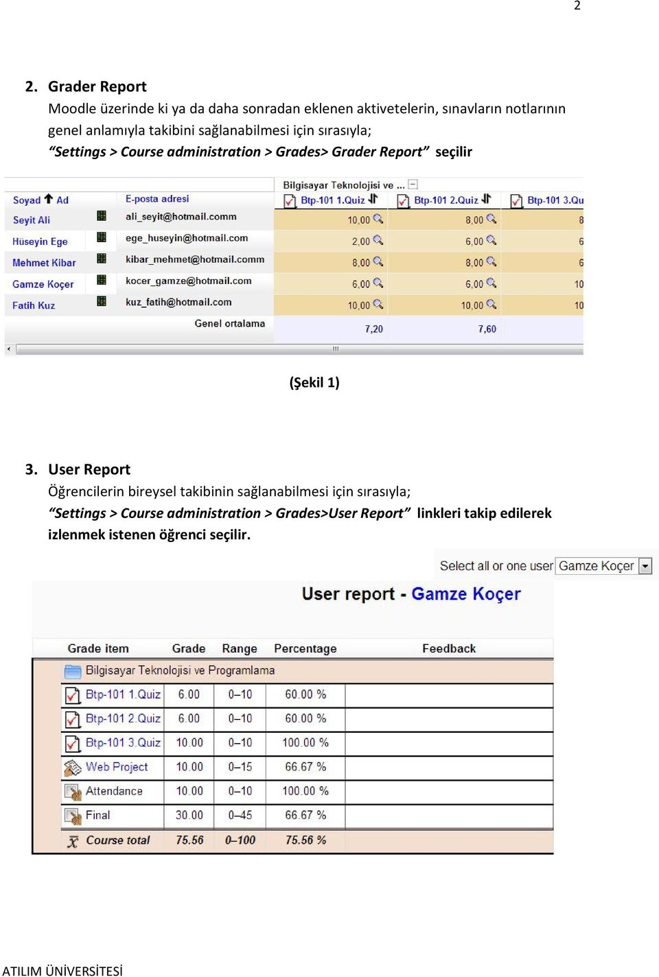 Report seçilir (Şekil 1) 3.