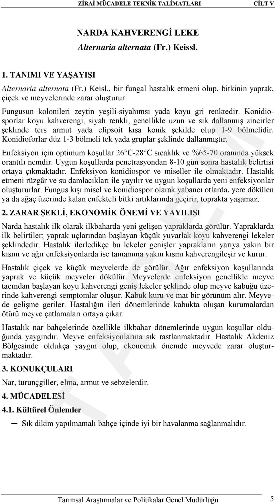 Konidiosporlar koyu kahverengi, siyah renkli, genellikle uzun ve sık dallanmış zincirler şeklinde ters armut yada elipsoit kısa konik şekilde olup 1-9 bölmelidir.