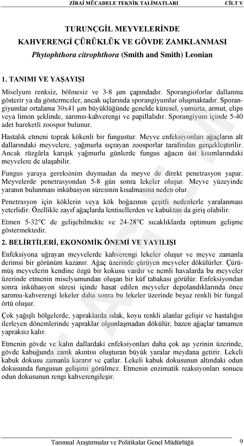 Sporangiyumlar ortalama 30x41 µm büyüklüğünde genelde küresel, yumurta, armut, elips veya limon şeklinde, sarımsı-kahverengi ve papillalıdır. Sporangiyum içinde 5-40 adet hareketli zoospor bulunur.