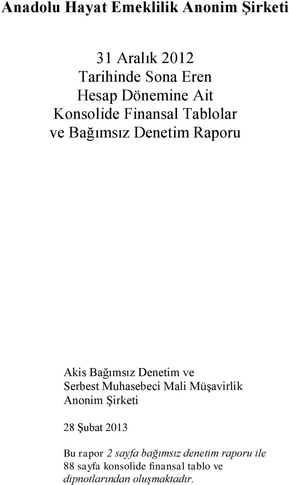 Denetim ve Serbest Muhasebeci Mali Müşavirlik Anonim Şirketi 28 ġubat 2013 Bu rapor 2