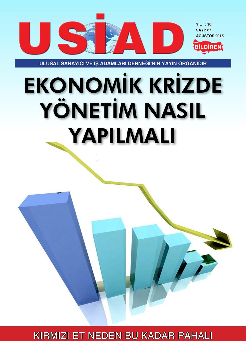 YAYIN ORGANIDIR EKONOMİK KRİZDE YÖNETİM