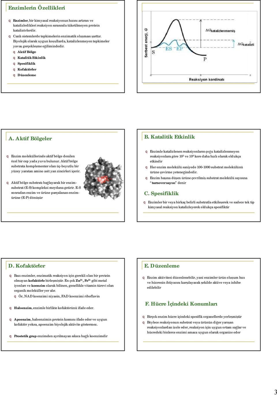 q Aktif Bölge q Katalitik Etkinlik q Spesifiklik q Kofaktörler q Düzenleme A. Aktif Bölgeler B. Katalitik Etkinlik q Enzim moleküllerinde aktif bölge denilen özel bir cep yada yuva bulunur.