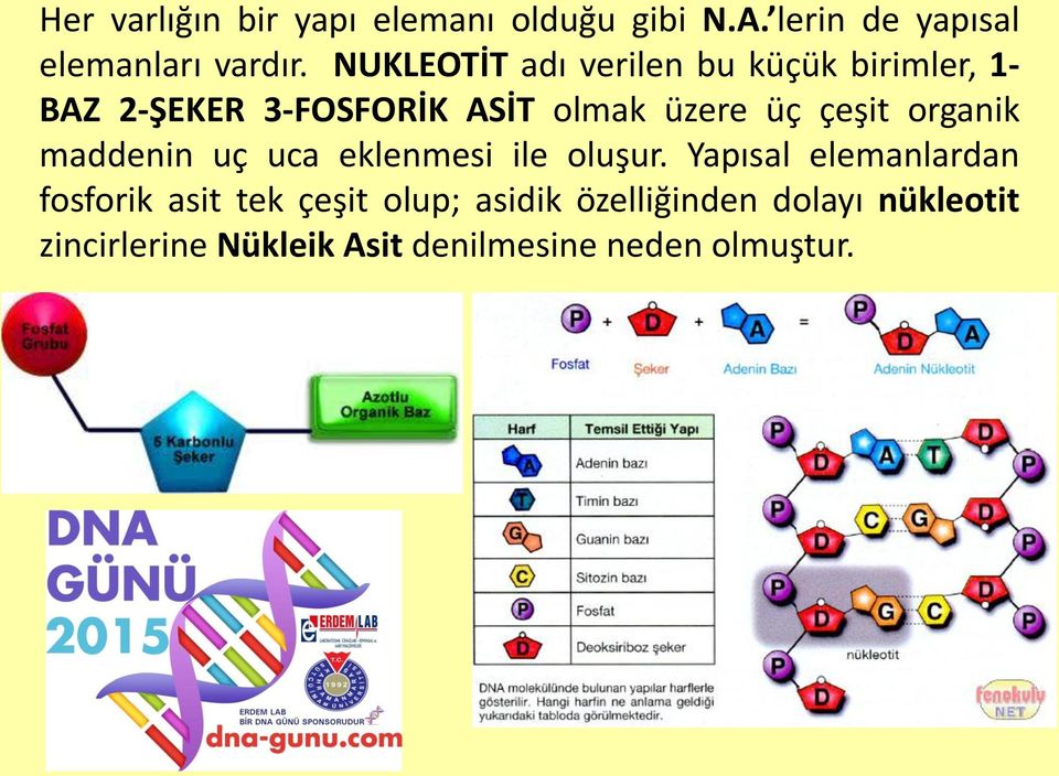 çeşit organik maddenin uç uca eklenmesi ile oluşur.