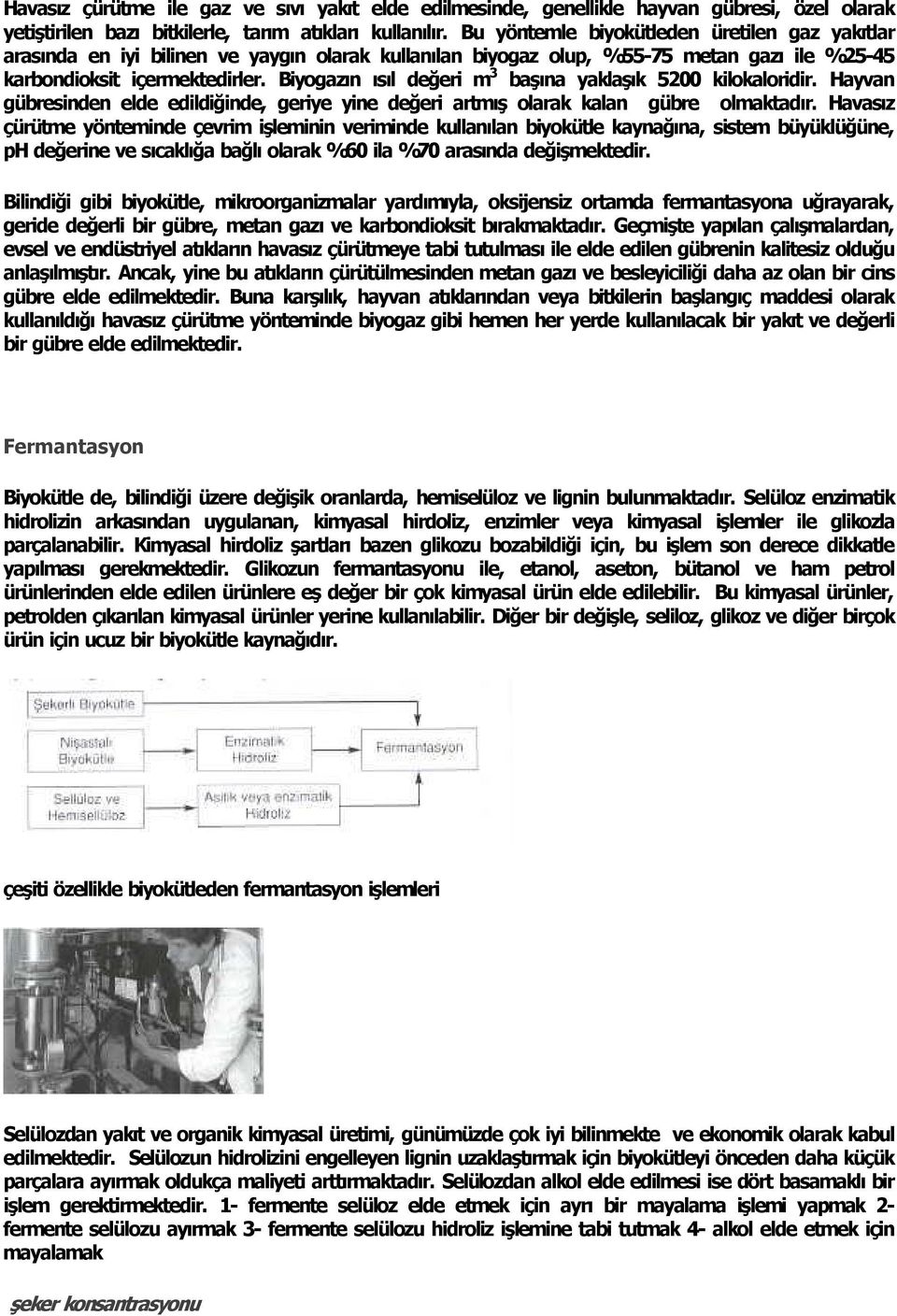 Biyogaz n s l değeri m 3 baş na yaklaş k 5200 kilokaloridir. Hayvan gübresinden elde edildiğinde, geriye yine değeri artm ş olarak kalan gübre olmaktad r.