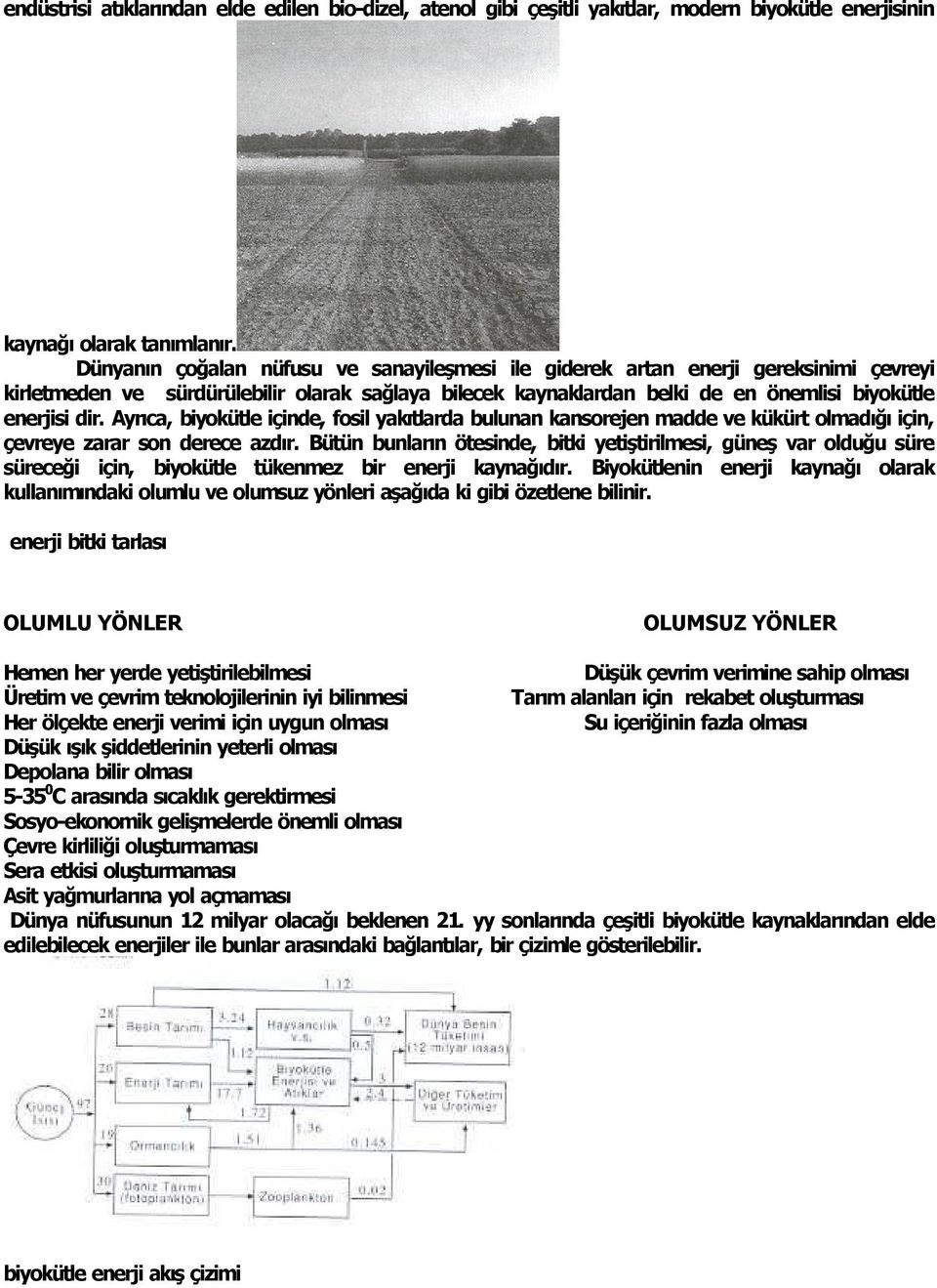 Ayr ca, biyokütle içinde, fosil yak tlarda bulunan kansorejen madde ve kükürt olmad ğ için, çevreye zarar son derece azd r.