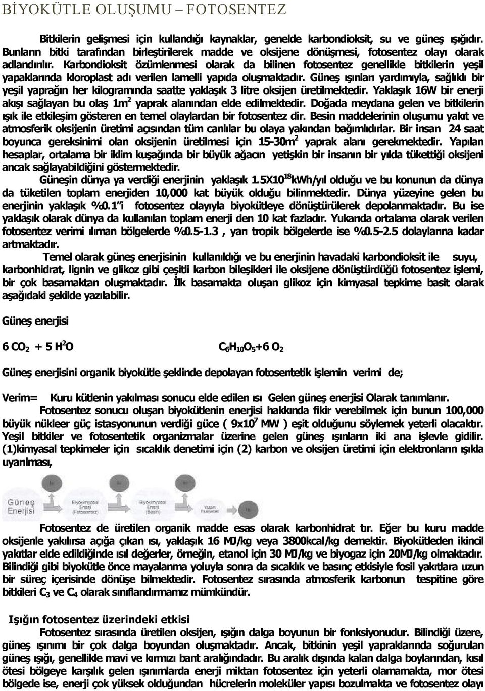 Karbondioksit özümlenmesi olarak da bilinen fotosentez genellikle bitkilerin yeşil yapaklar nda kloroplast ad verilen lamelli yap da oluşmaktad r.