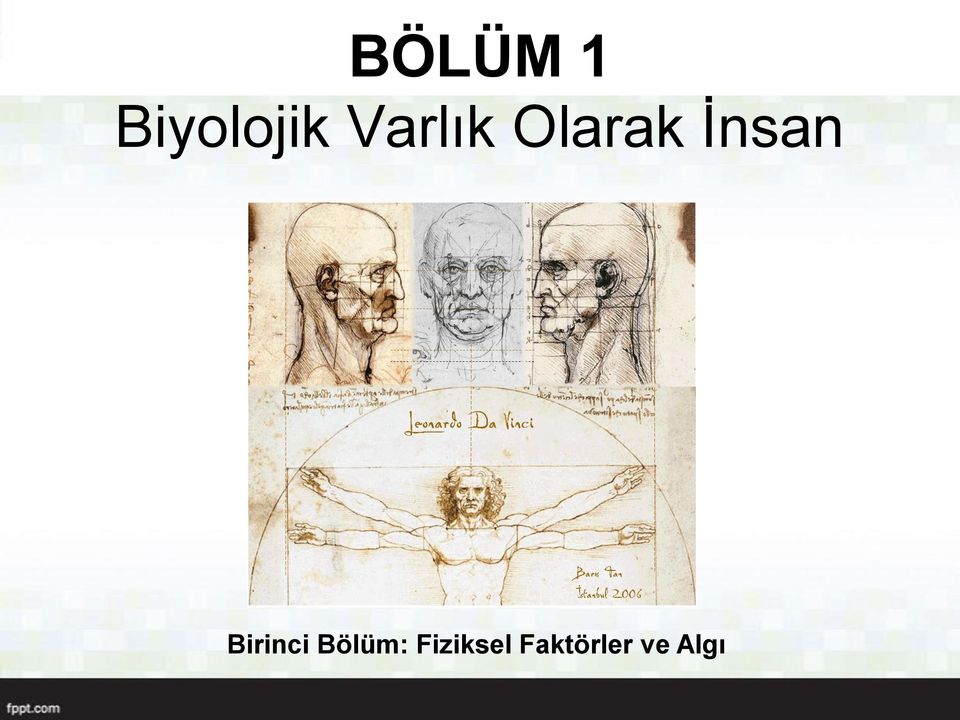 Birinci Bölüm: