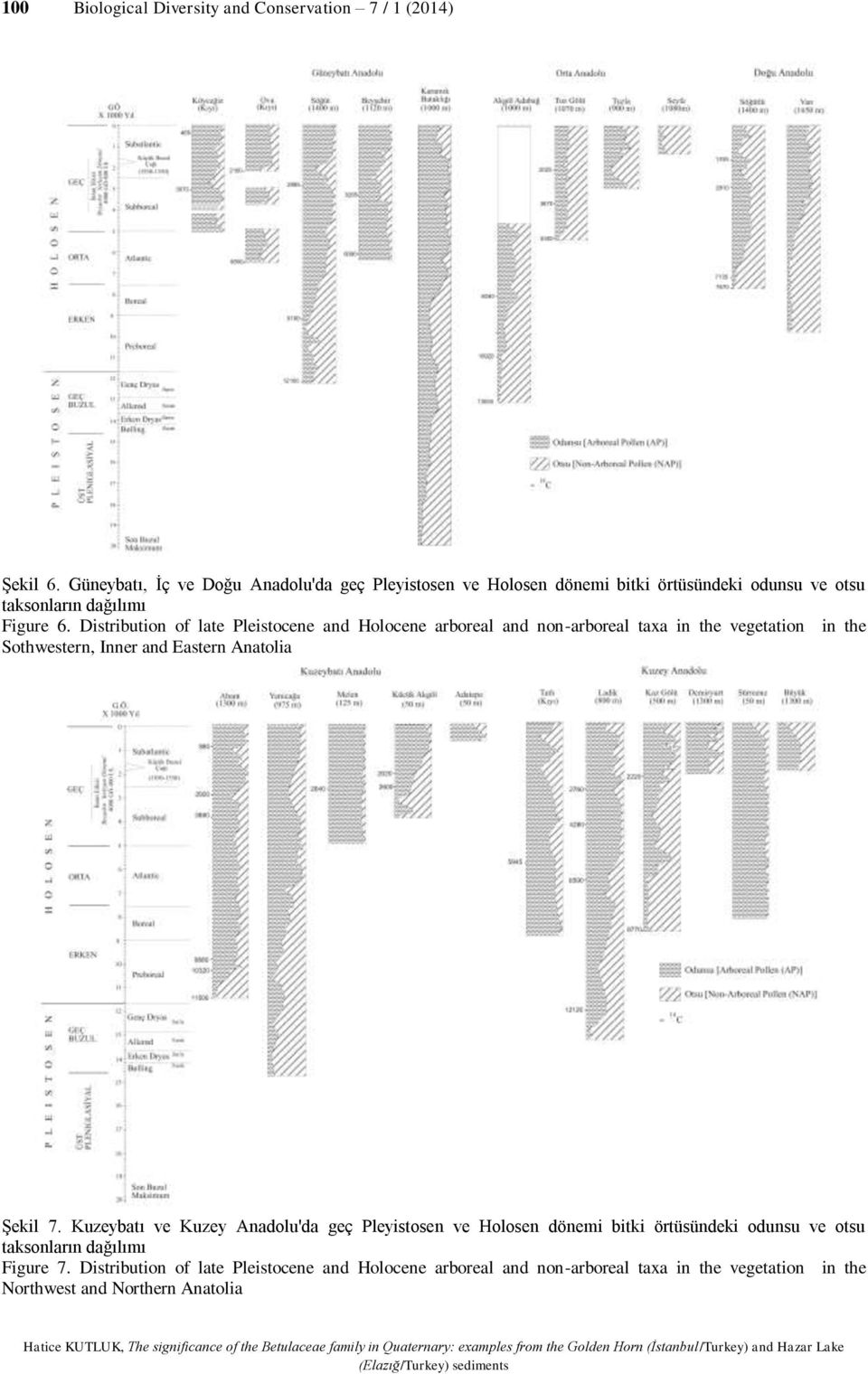 Distribution of late Pleistocene and Holocene arboreal and non-arboreal taxa in the vegetation in the Sothwestern, Inner and Eastern Anatolia Şekil 7.